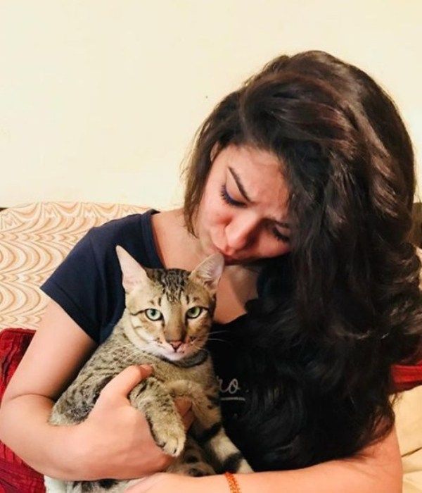 Нидхи Джа с нейната домашна котка