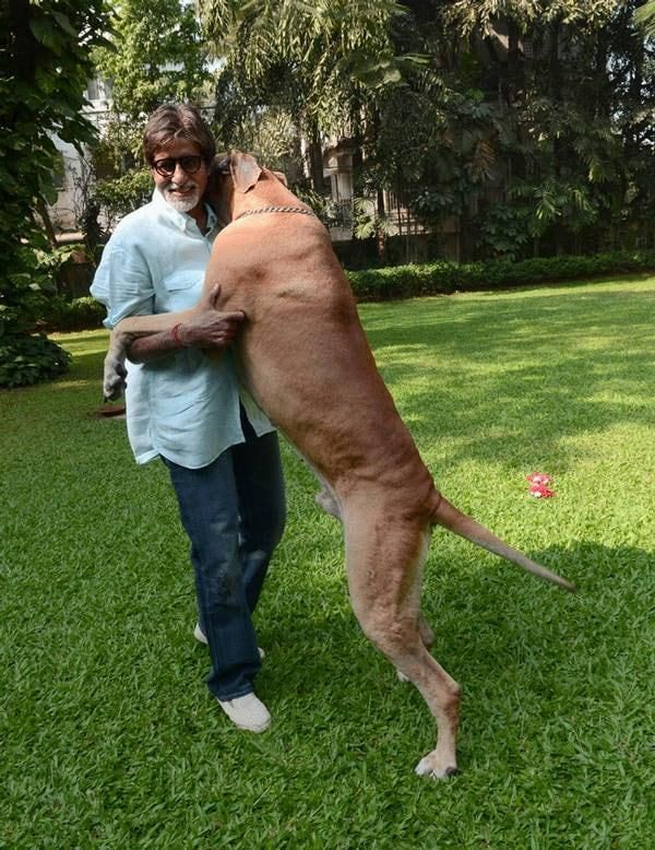 Amitabh Bachchan s svojim hišnim psom Shanoukom