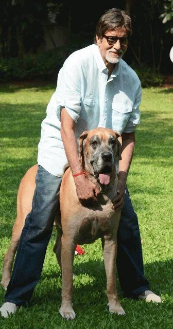 Amitabh Bachchan mit seinem Hund