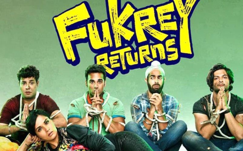 Kumilos din siya sa sumunod na pangyayari sa Fukrey, 'Fukrey Returns,' na inilabas noong 2017.