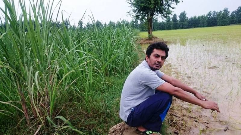 Nawazuddin Siddiqui Na svojih kmetijskih poljih