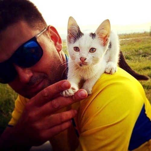 Kavin Dave yêu mèo