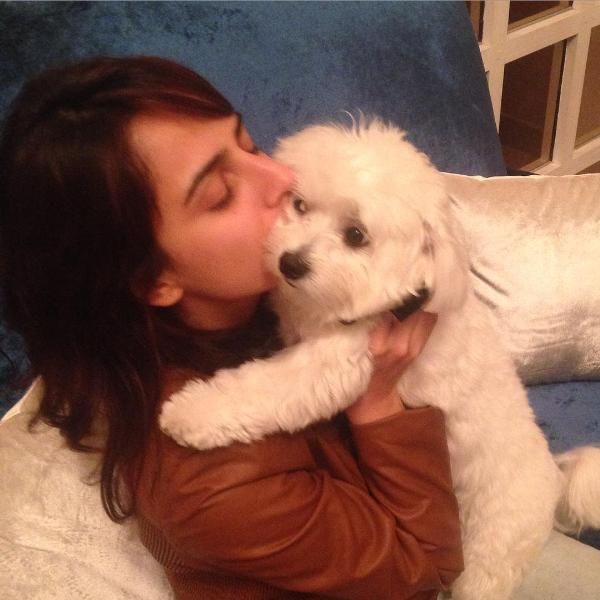 Кашмира Ирани любит собак