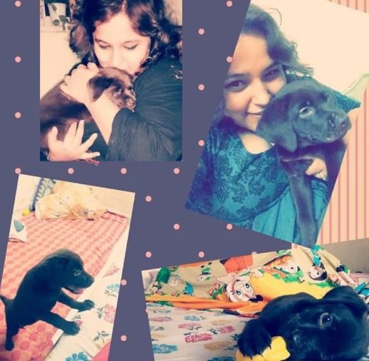   Deepika Khanna bersama anjing peliharaannya