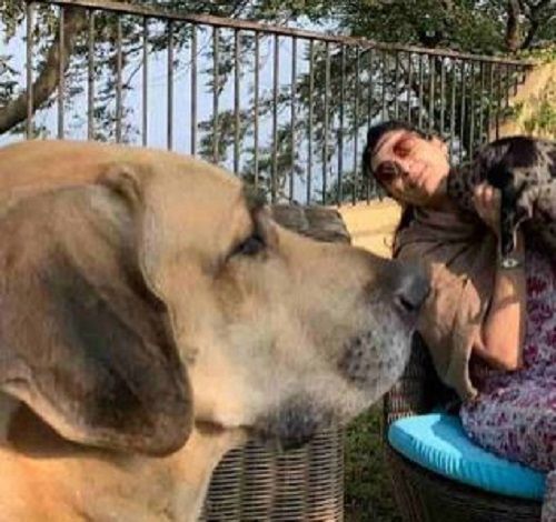 Mana Shetty met haar honden