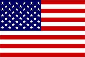USA: s nationella flagga