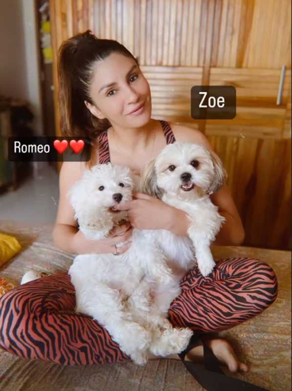 Priyanka Tyagi com seus cachorros