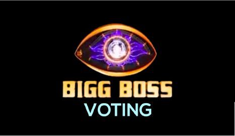 تصويت Bigg Boss