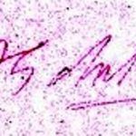 Signature d'APJ Abdul Kalam
