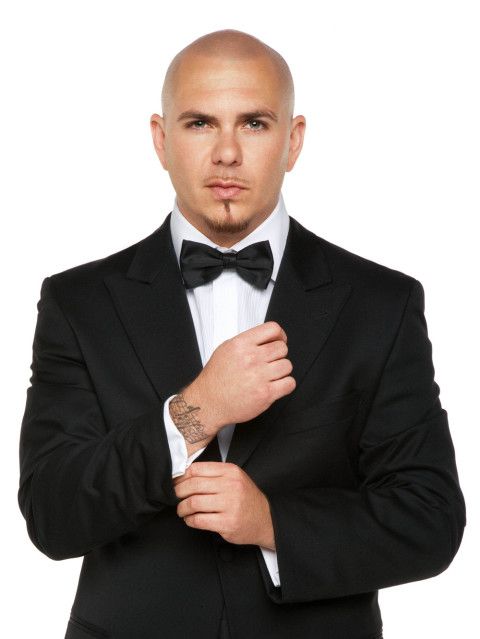 Rapper-Pitbull-Höhe