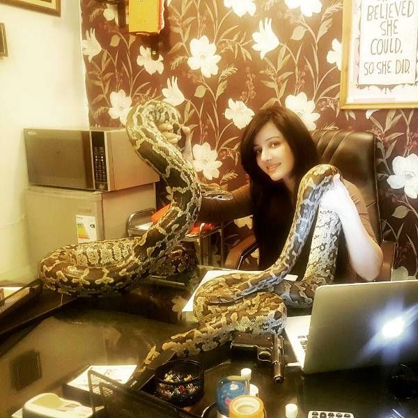 Rabi Pirzada with Her Pet Snakes - Bhoolu i Tiger