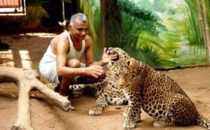   Prakash Amte med leoparder på Animal Ark