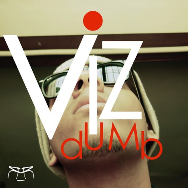 Vizdumb（2014）