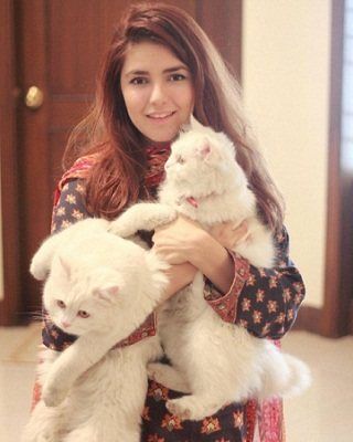 Момина с домашните си котки