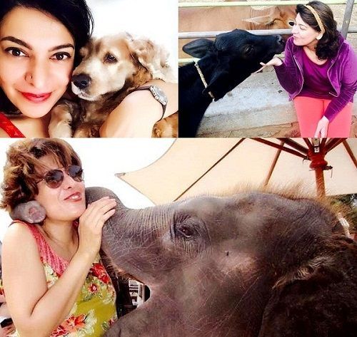 Divya Seth houdt van dieren